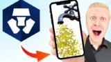 How to Make Money on Crypto com App (Crypto com Tutorial) | Udemy Coupons [year]